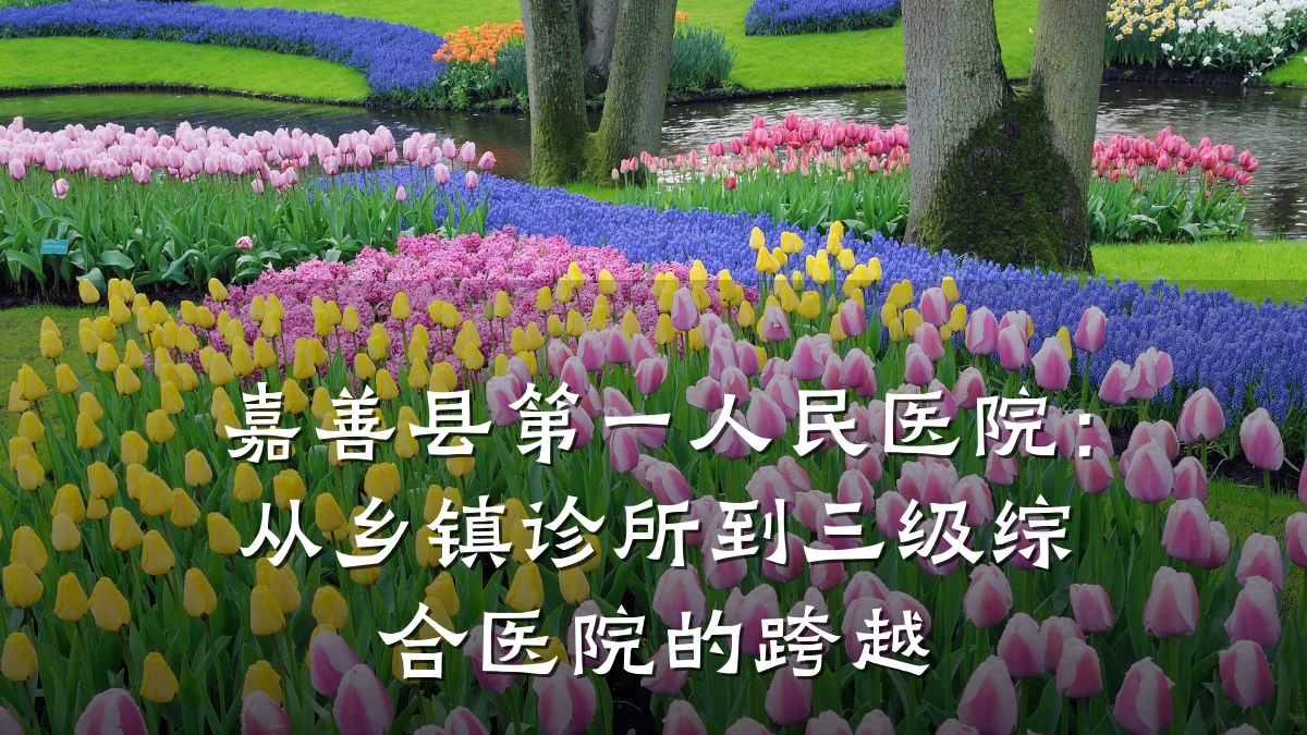 嘉善县第一人民医院：从乡镇诊所到三级综合医院的跨越