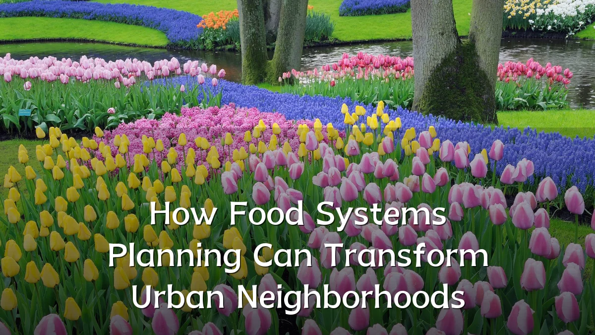 How Food Systems Planning Can Transform Urban Neighborhoods