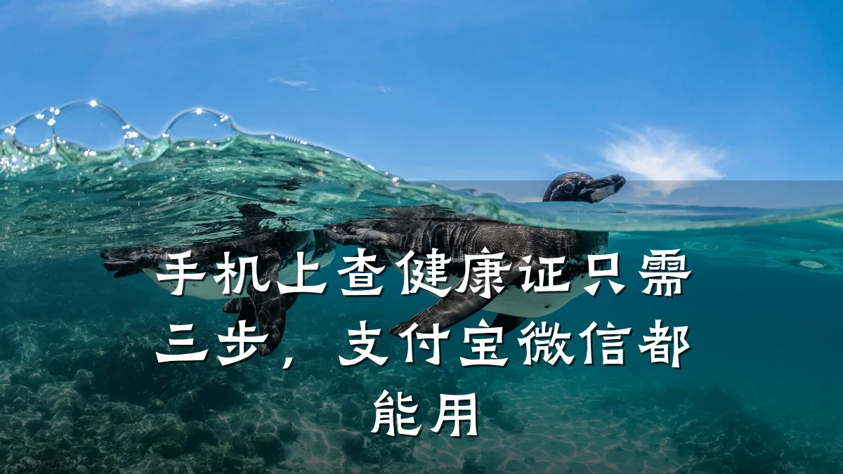 手机上查健康证只需三步，支付宝微信都能用