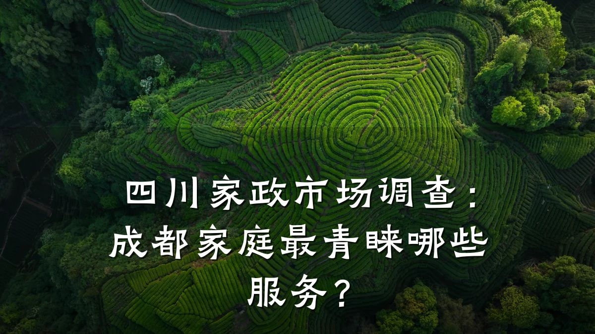 四川家政市场调查:成都家庭最青睐哪些服务?