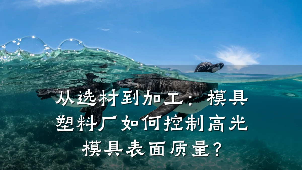 从选材到加工:模具塑料厂如何控制高光模具表面质量?