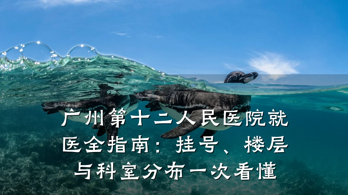广州第十二人民医院就医全指南：挂号、楼层与科室分布一次看懂