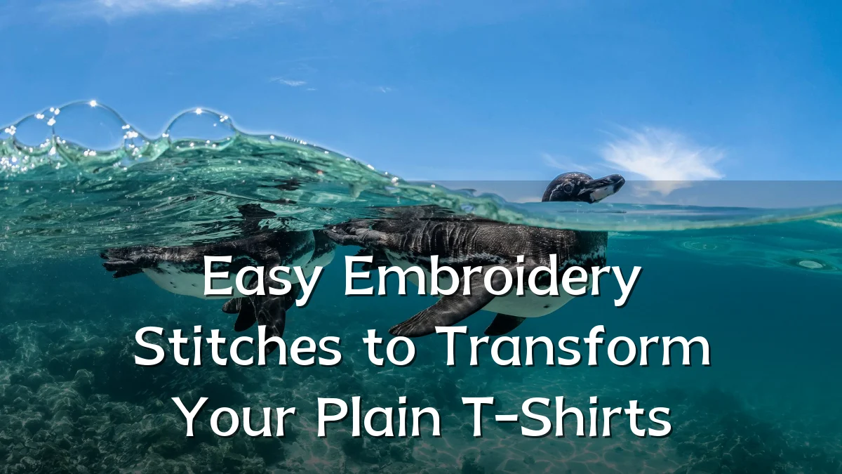 Easy Embroidery Stitches to Transform Your Plain T-Shirts
