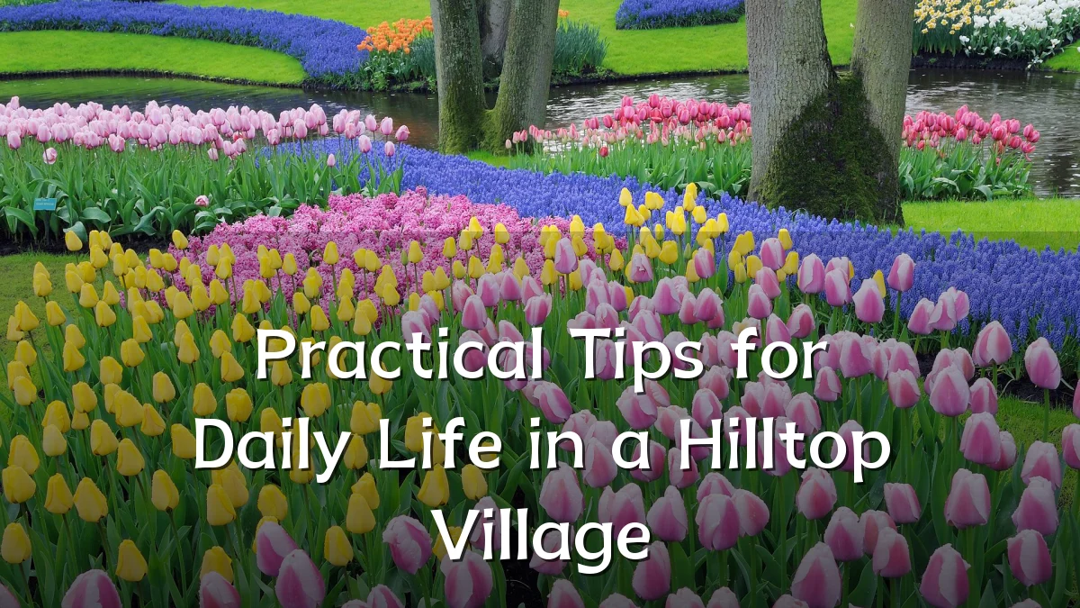 Practical Tips for Daily Life in a Hilltop Village