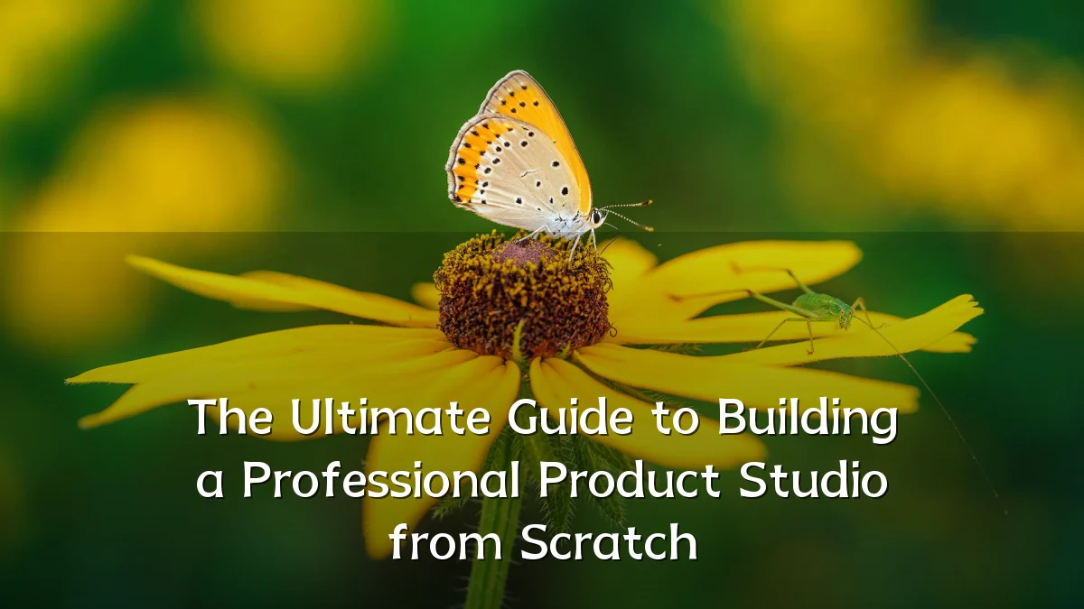 The Ultimate Guide to Building a Professional Product Studio from Scratch