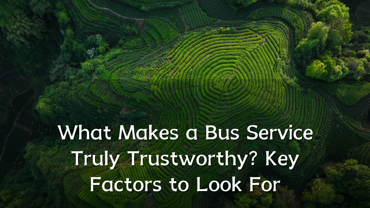 What Makes a Bus Service Truly Trustworthy? Key Factors to Look For