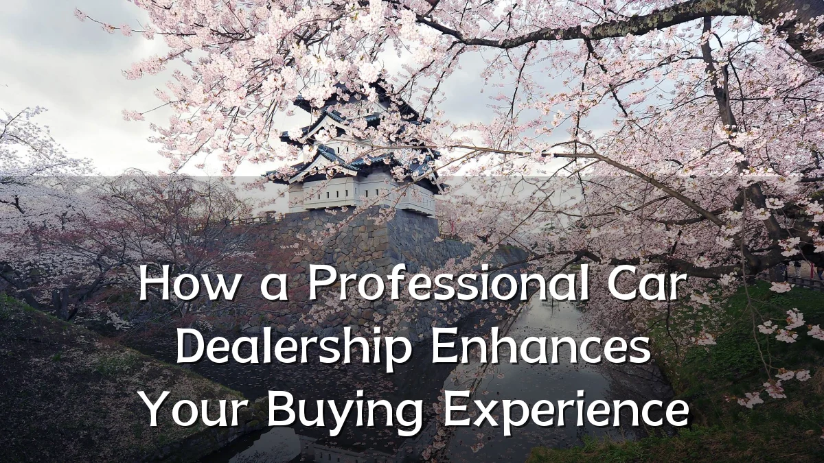 How a Professional Car Dealership Enhances Your Buying Experience