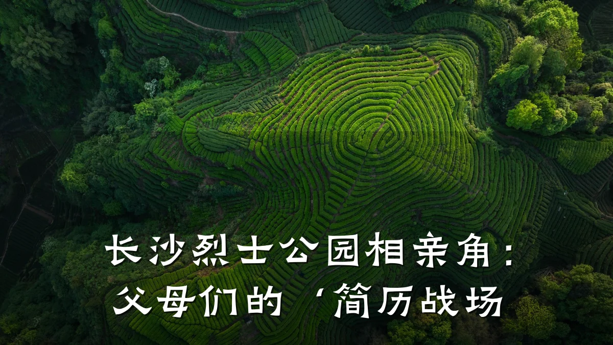 长沙烈士公园相亲角:父母们的‘简历战场
