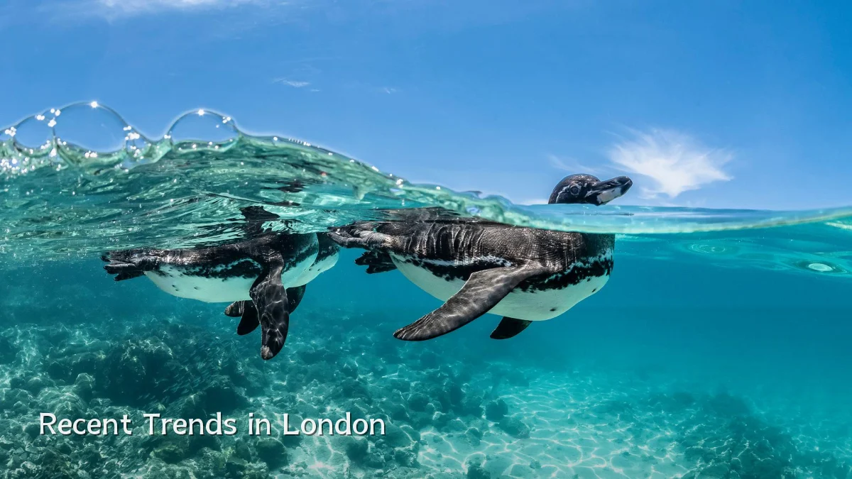 Recent Trends in London
