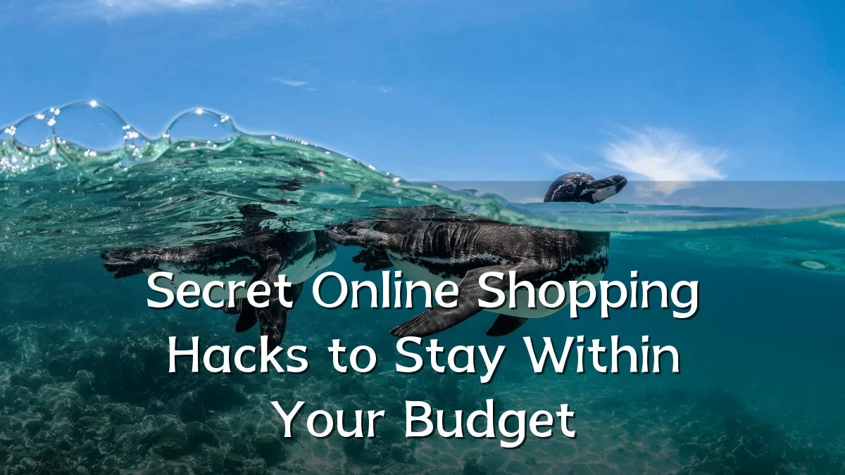 Secret Online Shopping Hacks to Stay Within Your Budget