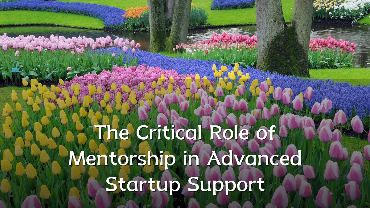The Critical Role of Mentorship in Advanced Startup Support
