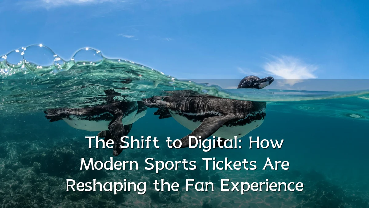 The Shift to Digital: How Modern Sports Tickets Are Reshaping the Fan Experience