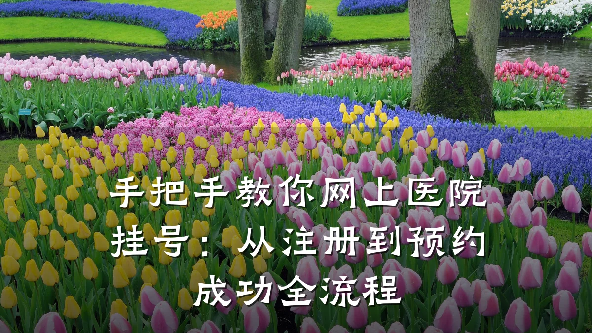 手把手教你网上医院挂号:从注册到预约成功全流程