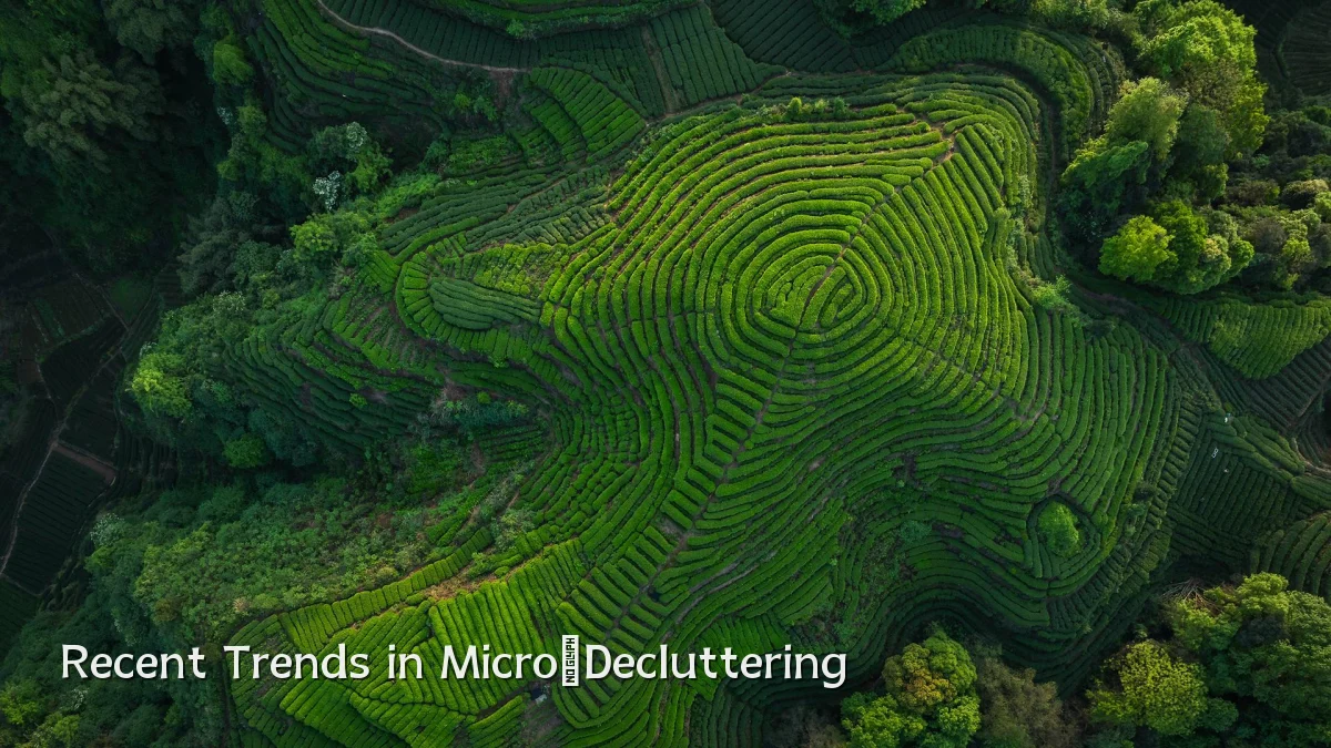 Recent Trends in Micro‑Decluttering