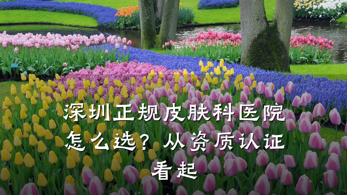 深圳正规皮肤科医院怎么选?从资质认证看起
