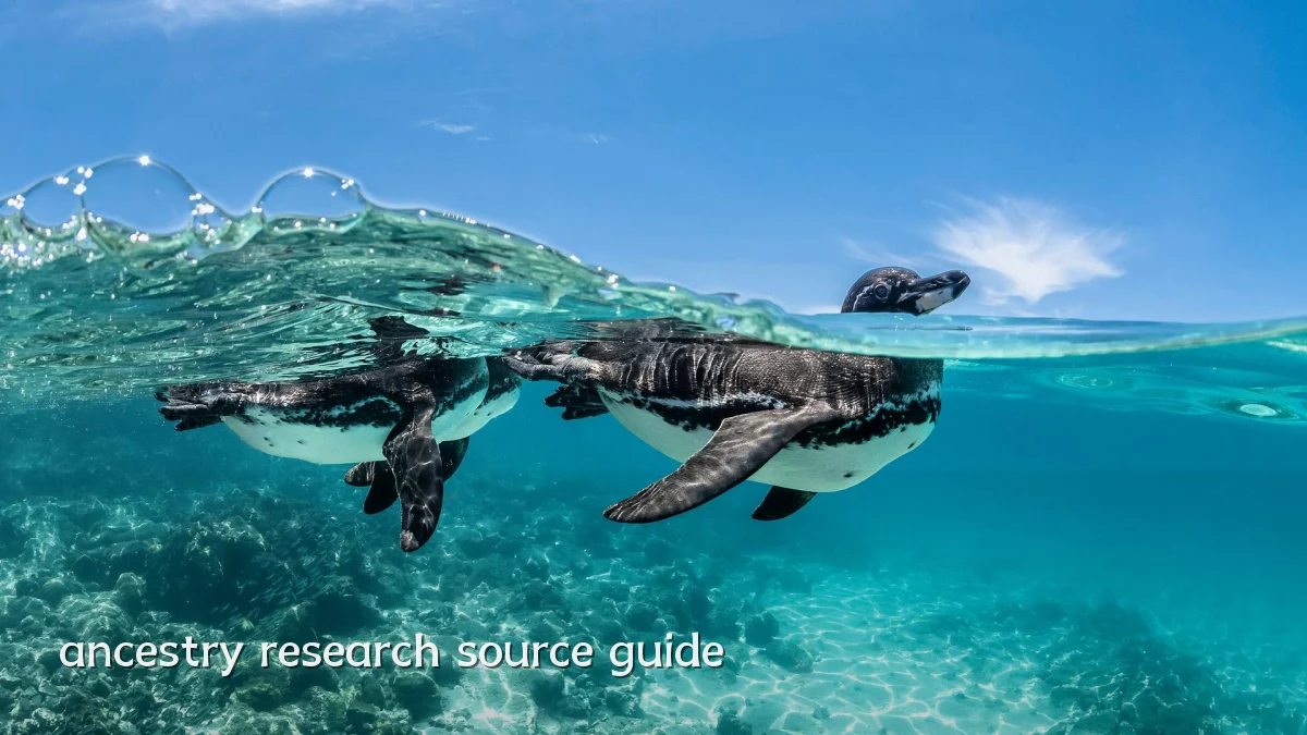 ancestry research source guide
