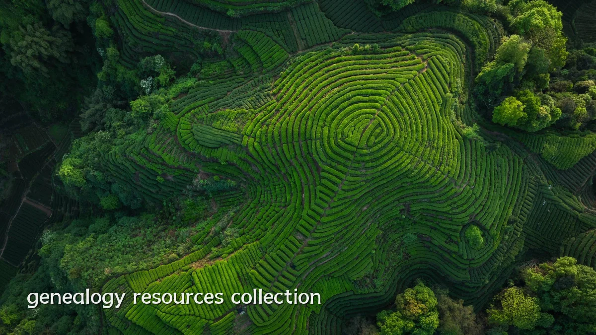 genealogy resources collection