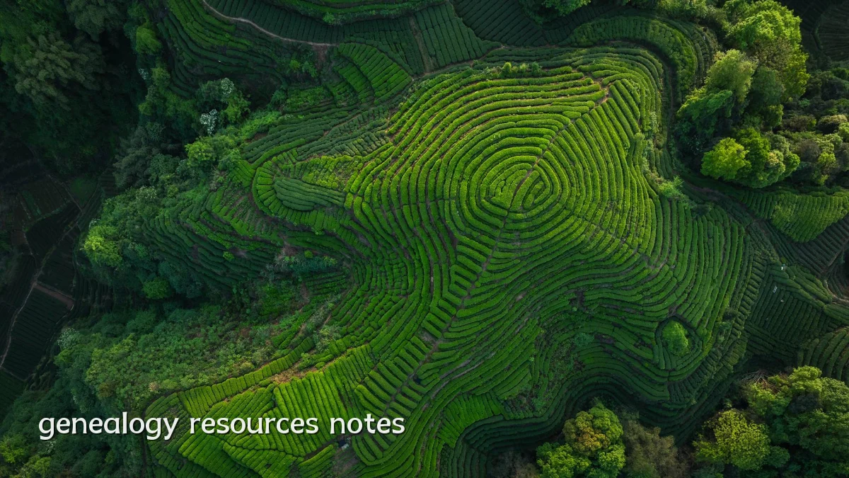 genealogy resources notes