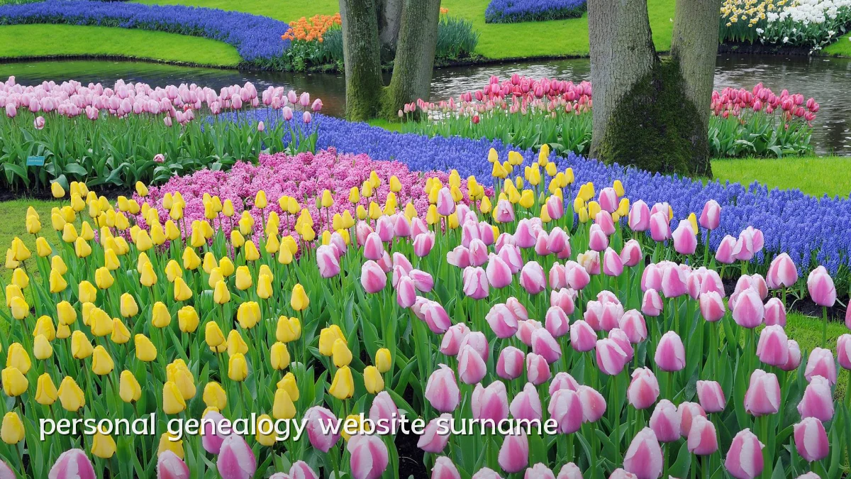 personal genealogy website surname