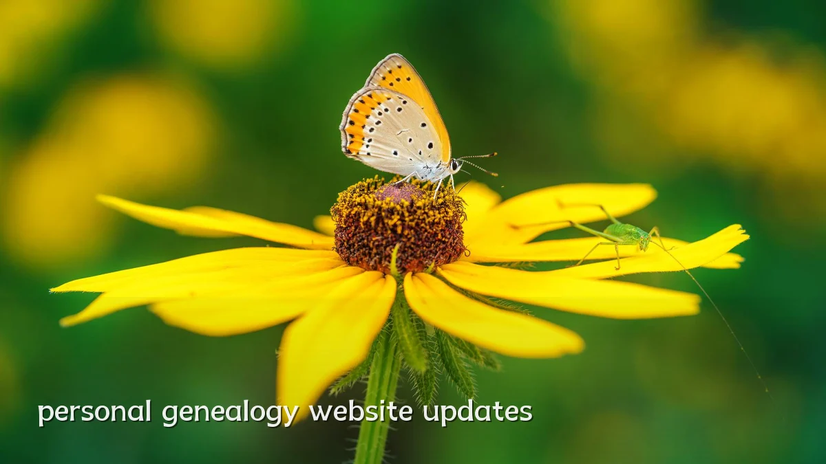 personal genealogy website updates