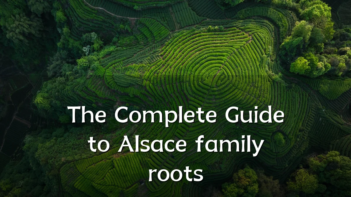 The Complete Guide to Alsace family roots