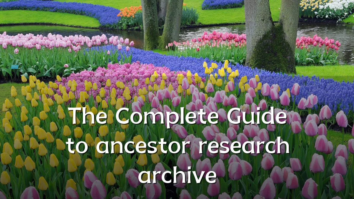 The Complete Guide to ancestor research archive