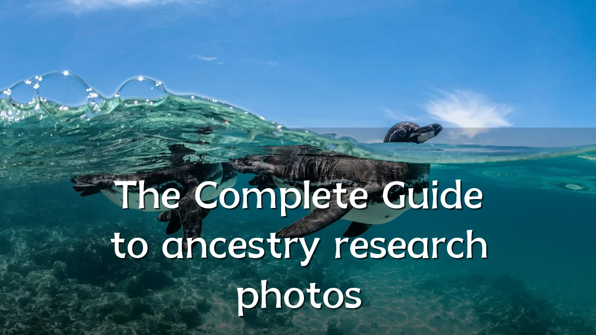 The Complete Guide to ancestry research photos