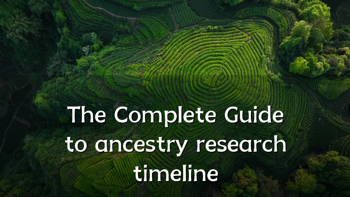 The Complete Guide to ancestry research timeline