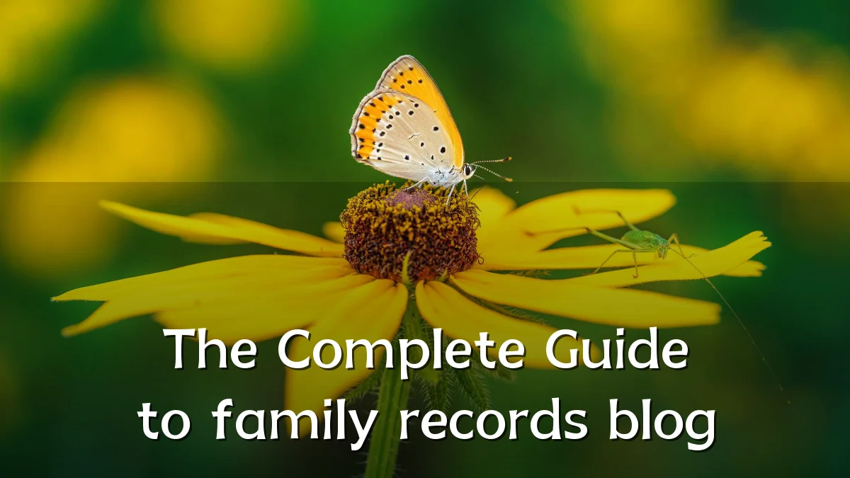 The Complete Guide to family records blog