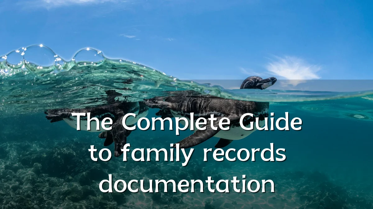 The Complete Guide to family records documentation