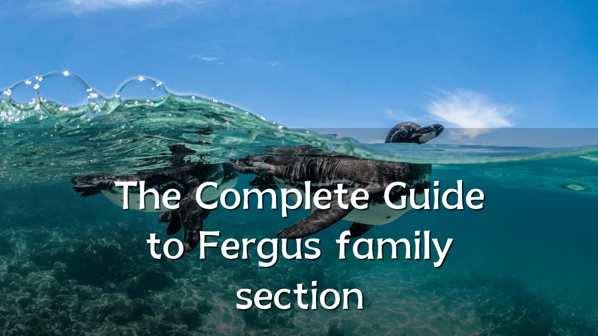 The Complete Guide to Fergus family section