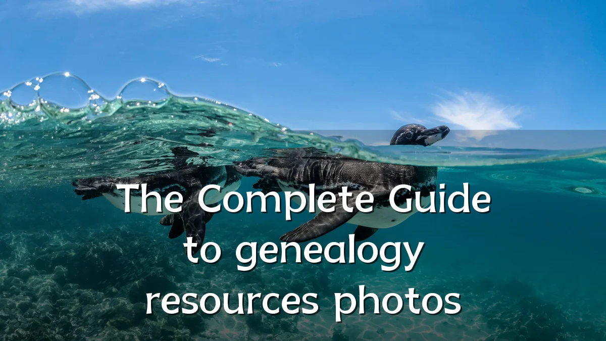 The Complete Guide to genealogy resources photos