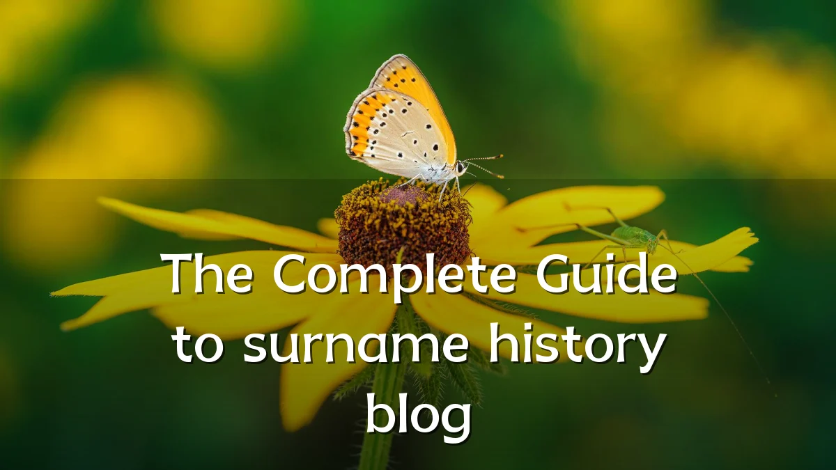 The Complete Guide to surname history blog