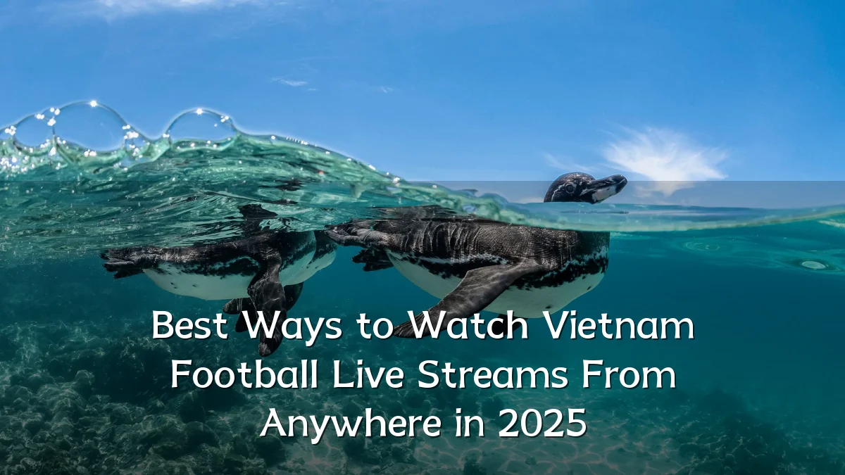 Best Ways to Watch Vietnam Football Live Streams From Anywhere in 2025