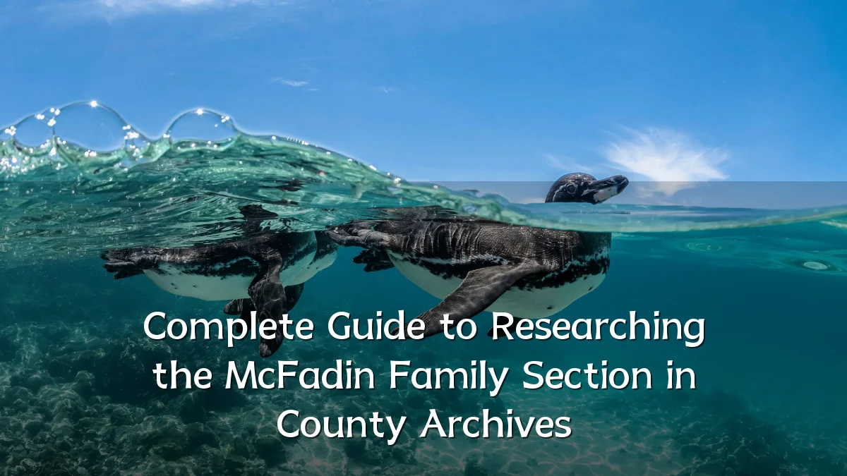 Complete Guide to Researching the McFadin Family Section in County Archives