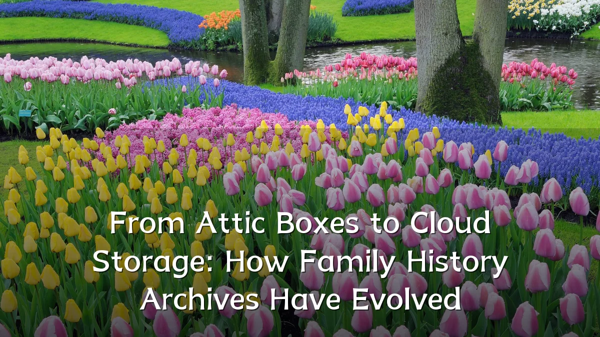 From Attic Boxes to Cloud Storage: How Family History Archives Have Evolved