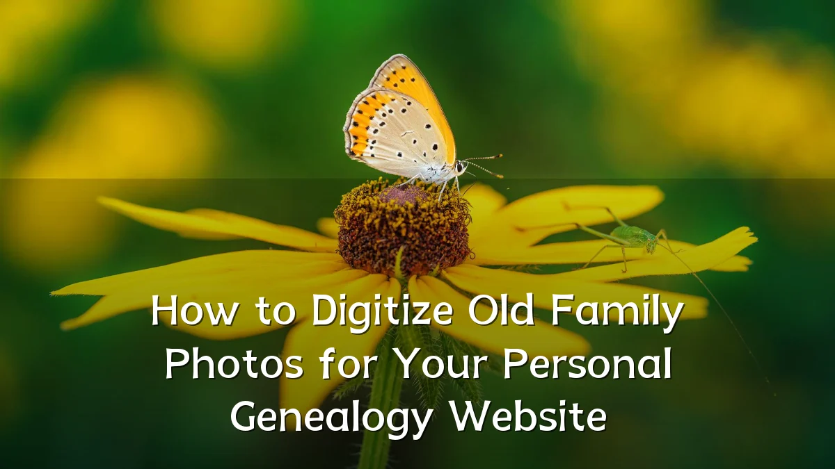 How to Digitize Old Family Photos for Your Personal Genealogy Website