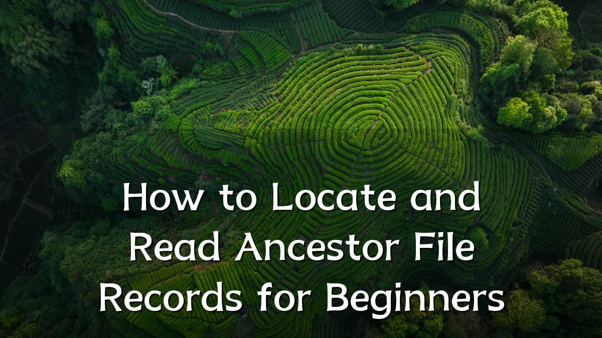 How to Locate and Read Ancestor File Records for Beginners