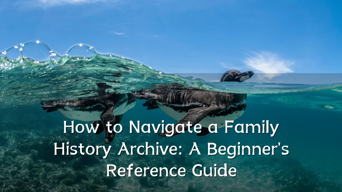 How to Navigate a Family History Archive: A Beginner's Reference Guide