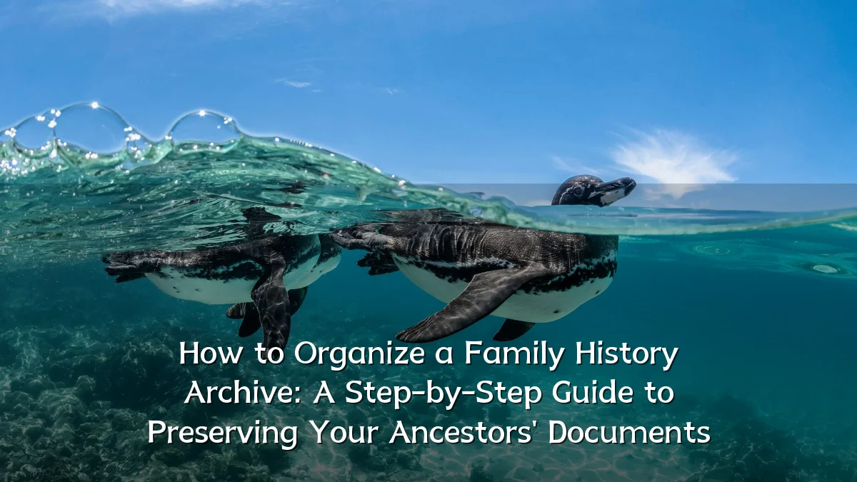 How to Organize a Family History Archive: A Step-by-Step Guide to Preserving Your Ancestors' Documents