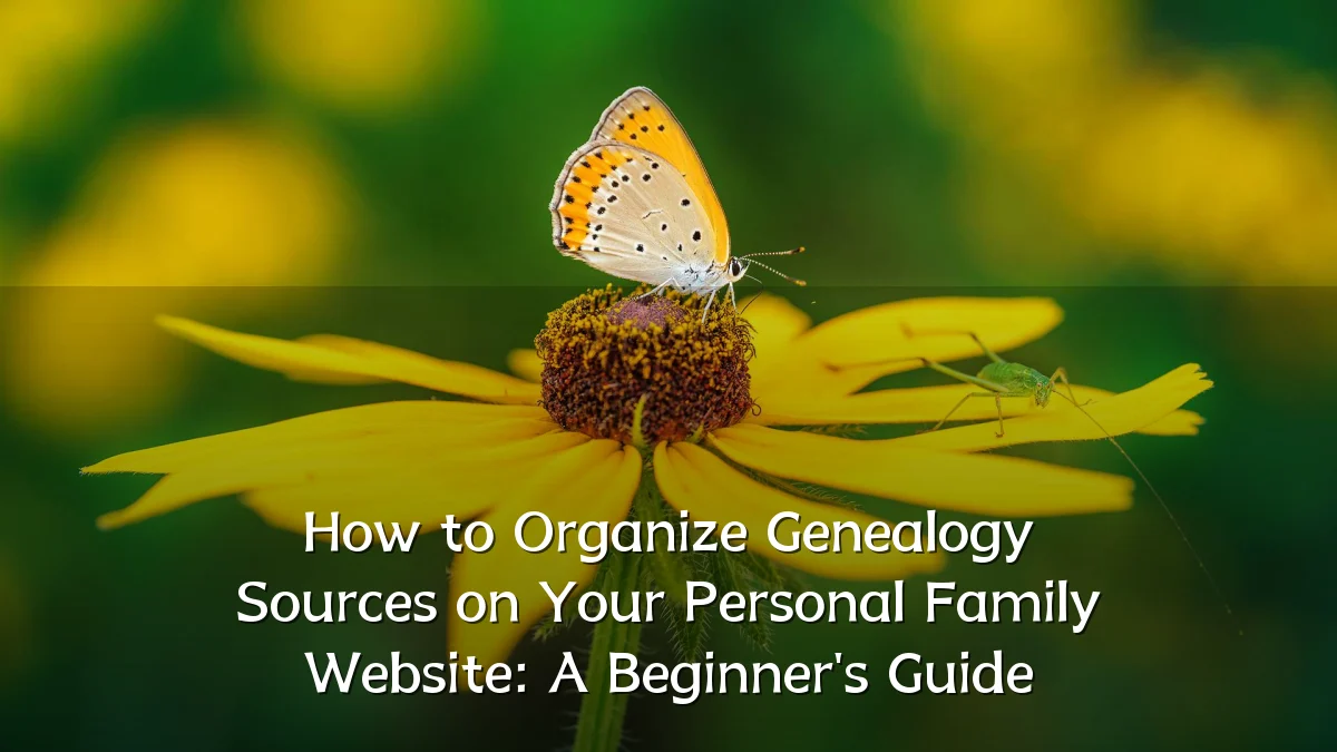 How to Organize Genealogy Sources on Your Personal Family Website: A Beginner's Guide