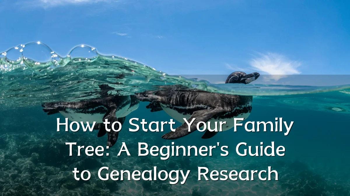 How to Start Your Family Tree: A Beginner's Guide to Genealogy Research