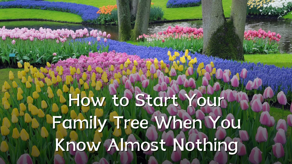 How to Start Your Family Tree When You Know Almost Nothing