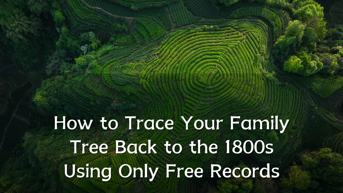 How to Trace Your Family Tree Back to the 1800s Using Only Free Records