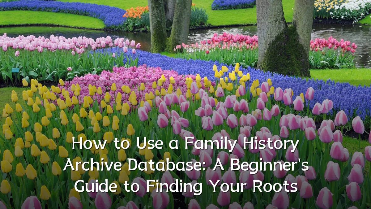 How to Use a Family History Archive Database: A Beginner's Guide to Finding Your Roots