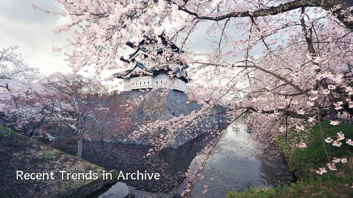 Recent Trends in Archive