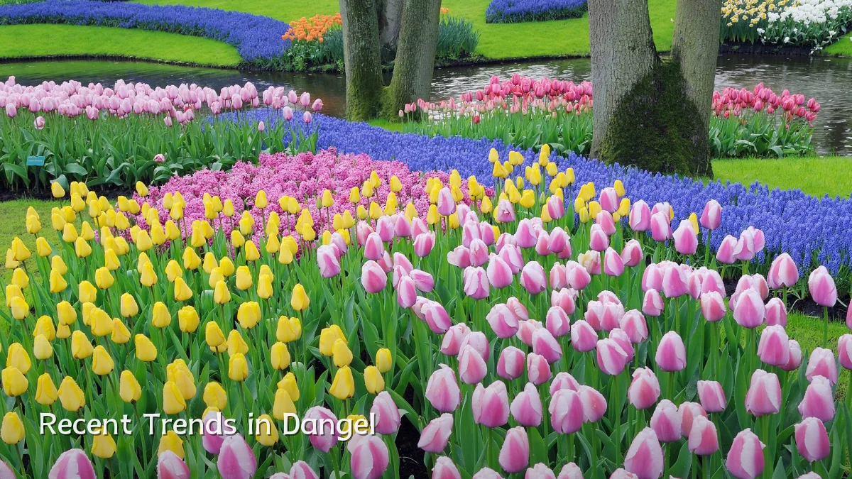 Recent Trends in Dangel
