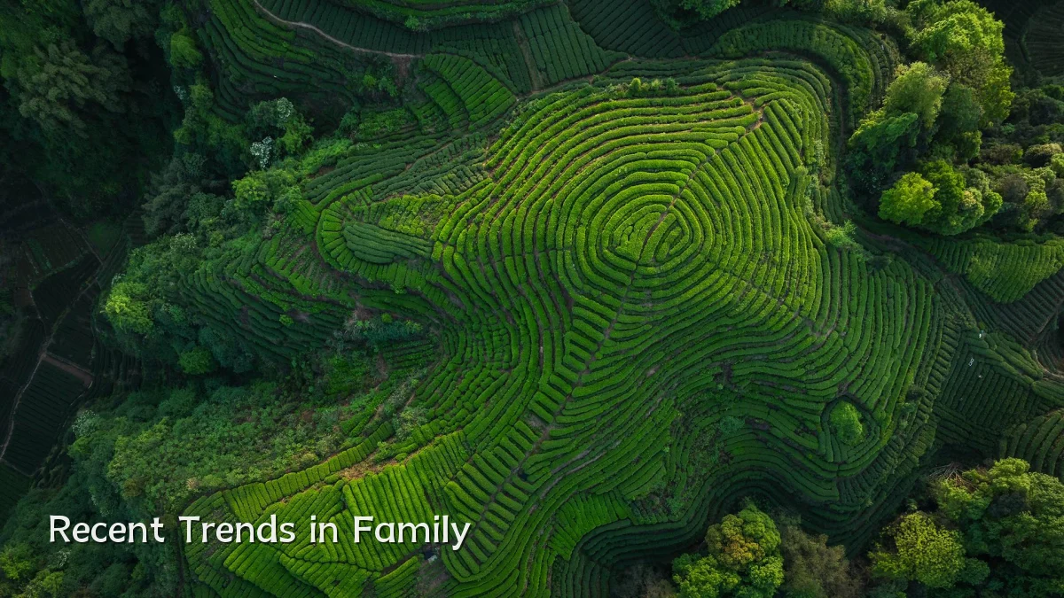 Recent Trends in Family