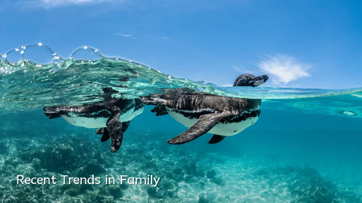 Recent Trends in Family