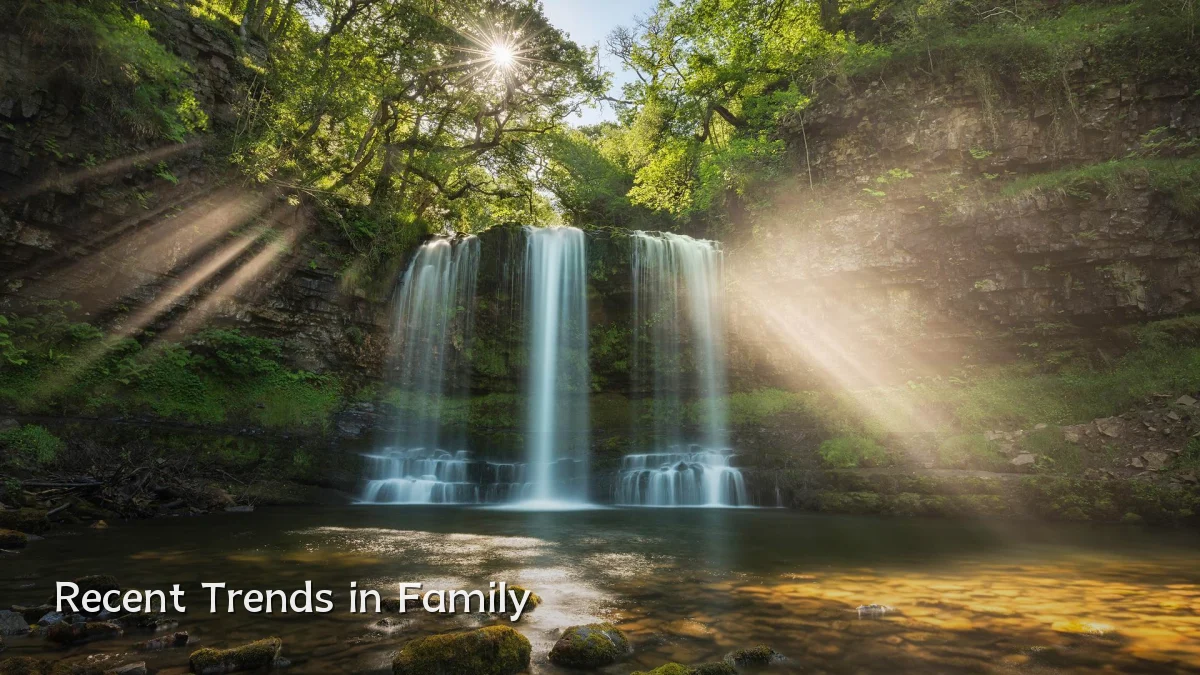 Recent Trends in Family